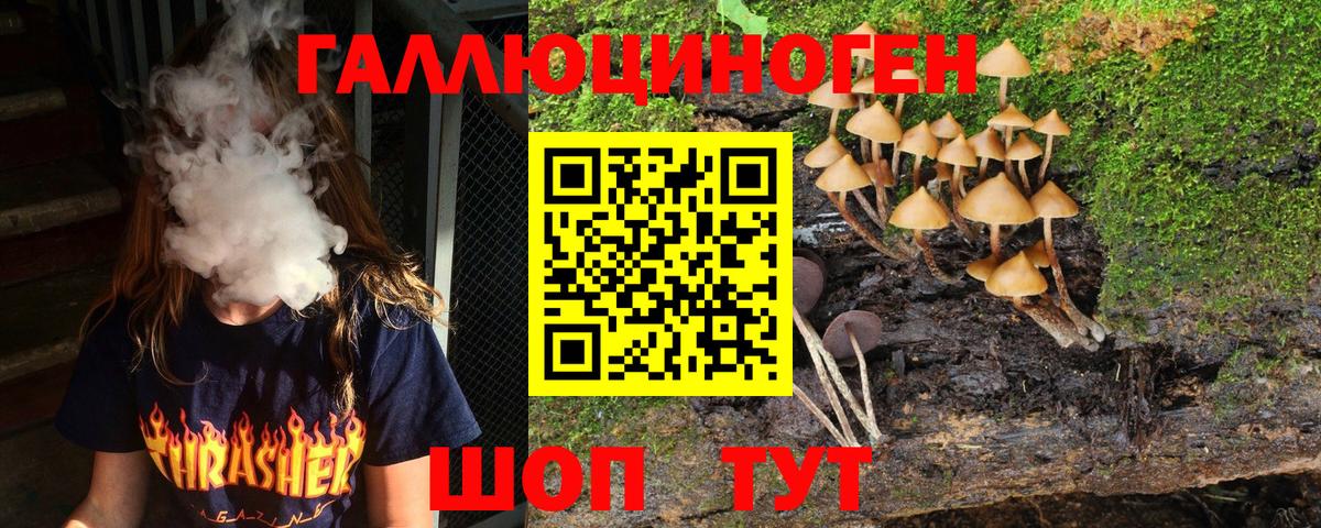 Щёлково  как найти закладки  Вход с VPN  Псилоцибиновые грибы Psilocybe  Псилоцибиновые грибы Magic Shrooms 
