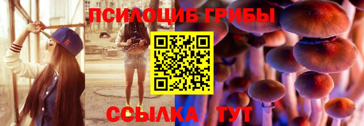 Псилоцибиновые грибы GOLDEN TEACHER Щёлково